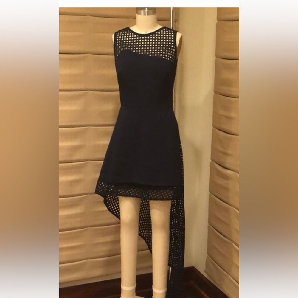 Chic Asymmetrical Black Mesh Dress
